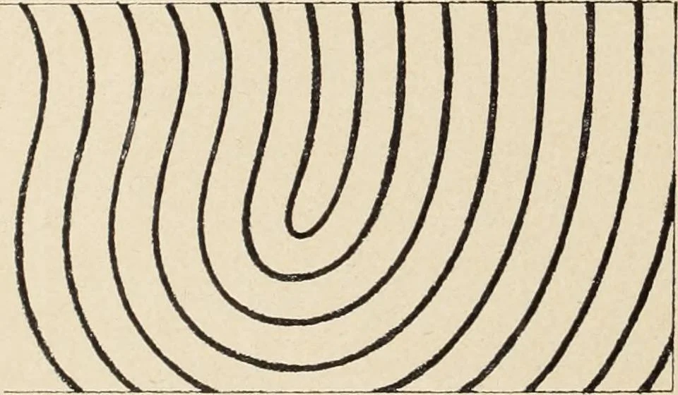 An illustration from Méthode de composition ornementale, 1905, leaf 87