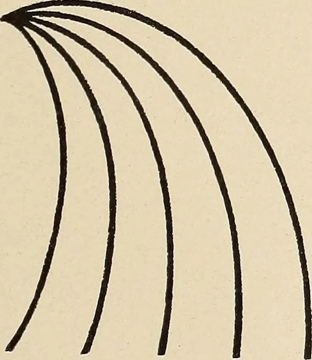 An illustration from Méthode de composition ornementale, 1905, leaf 90