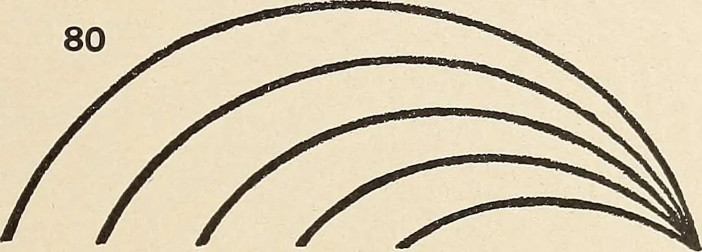 An illustration from Méthode de composition ornementale, 1905, leaf 90