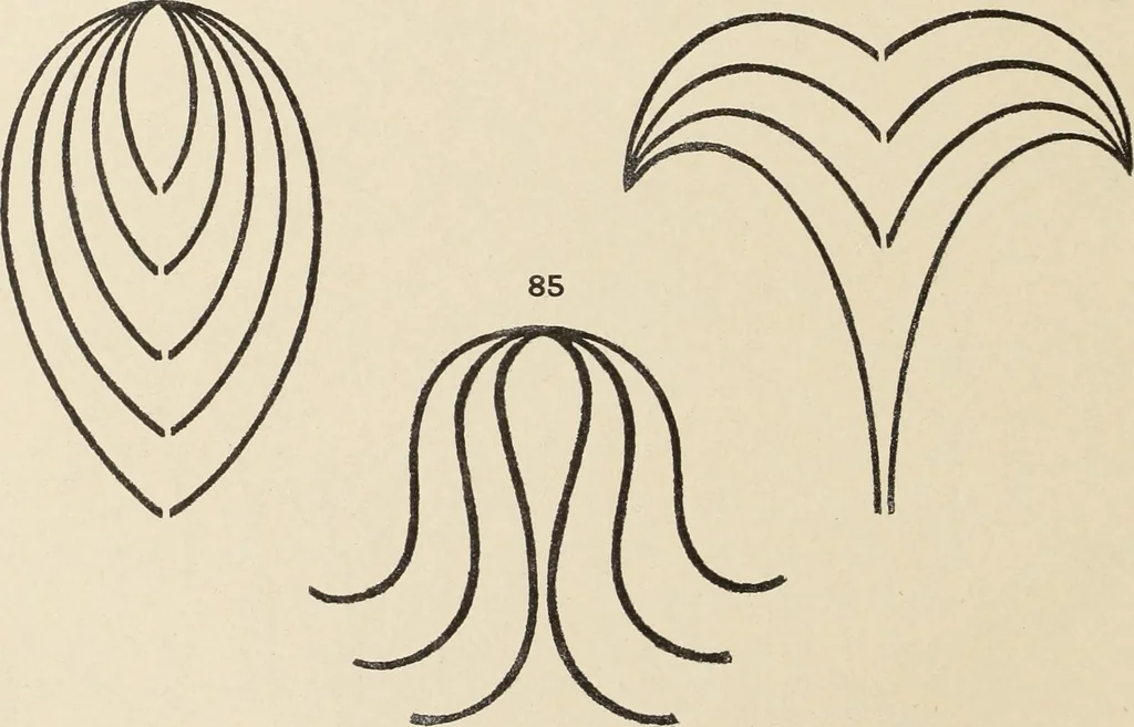 An illustration from Méthode de composition ornementale, 1905, leaf 91
