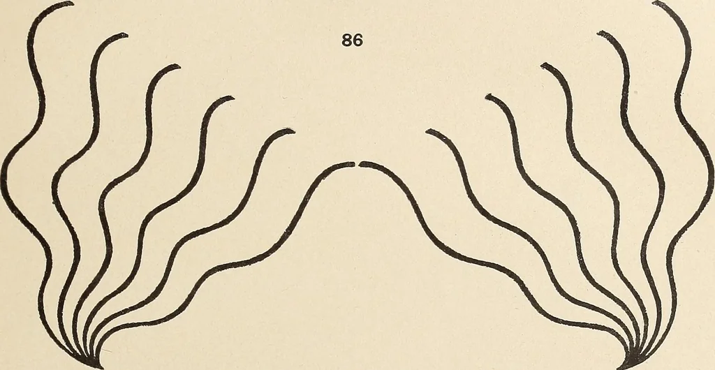 An illustration from Méthode de composition ornementale, 1905, leaf 92