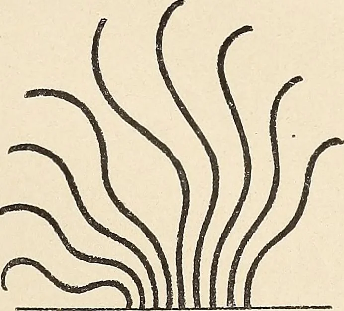 An illustration from Méthode de composition ornementale, 1905, leaf 94