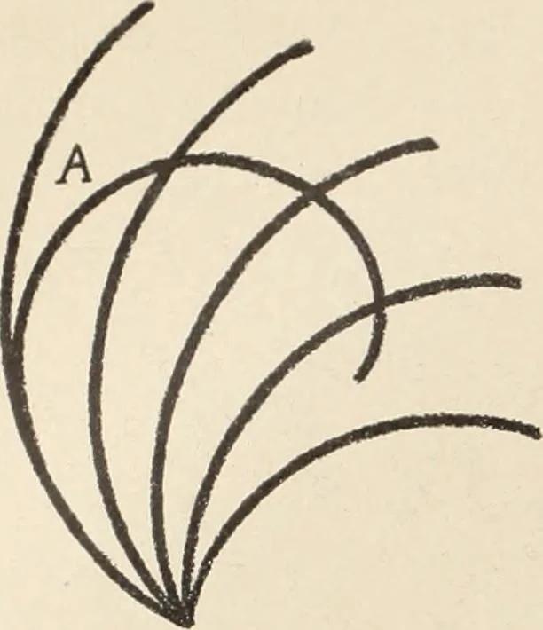 An illustration from Méthode de composition ornementale, 1905, leaf 95