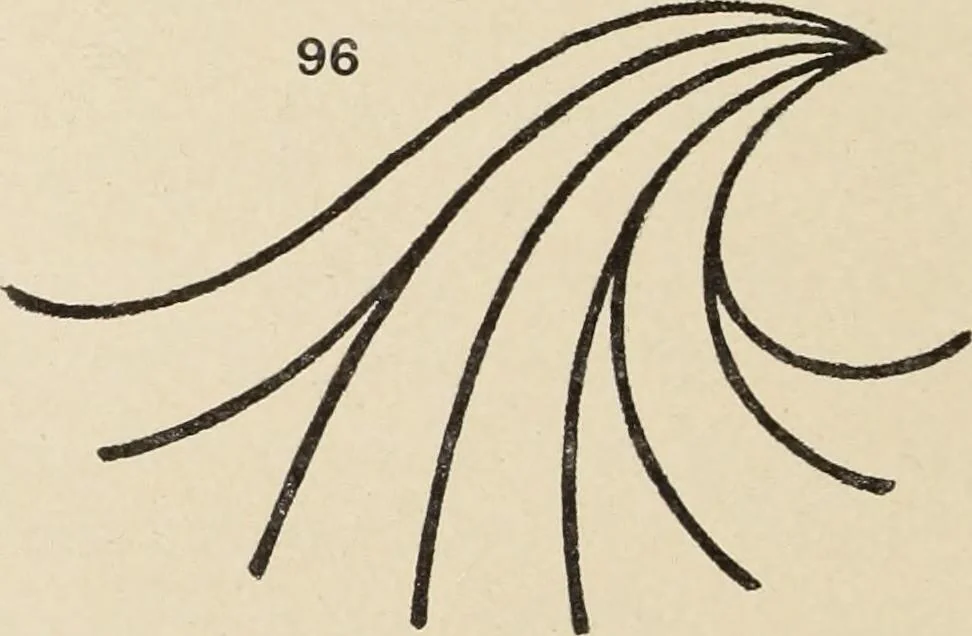 An illustration from Méthode de composition ornementale, 1905, leaf 95