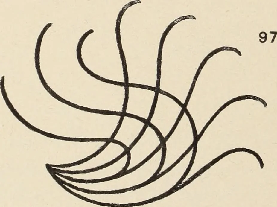 An illustration from Méthode de composition ornementale, 1905, leaf 95