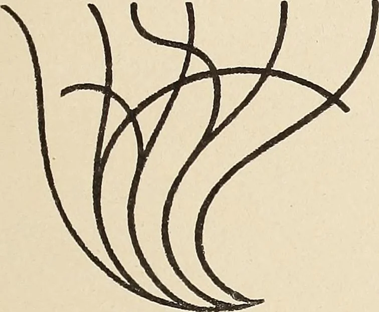 An illustration from Méthode de composition ornementale, 1905, leaf 96