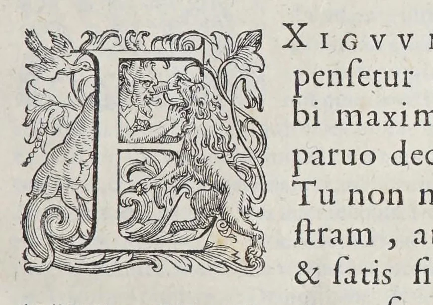 An illustration from M. Tullius Cicero Mannucciorum commentariis illustratus antiquaeq. lectioni restitutus, 1583, leaf 375