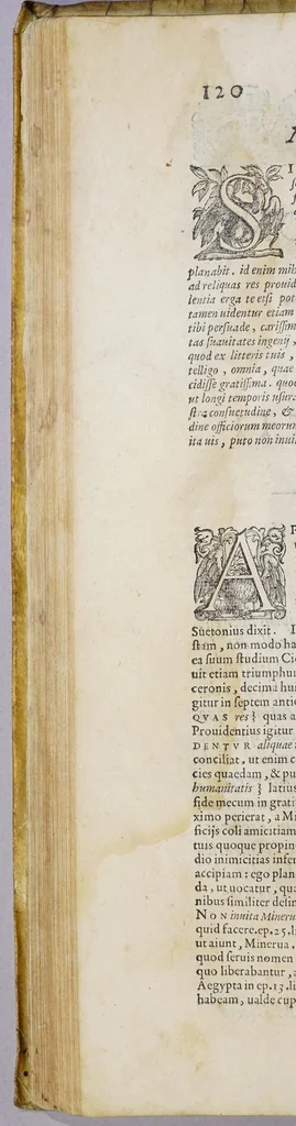 An illustration from M. Tullius Cicero Mannucciorum commentariis illustratus antiquaeq. lectioni restitutus, 1583, leaf 196