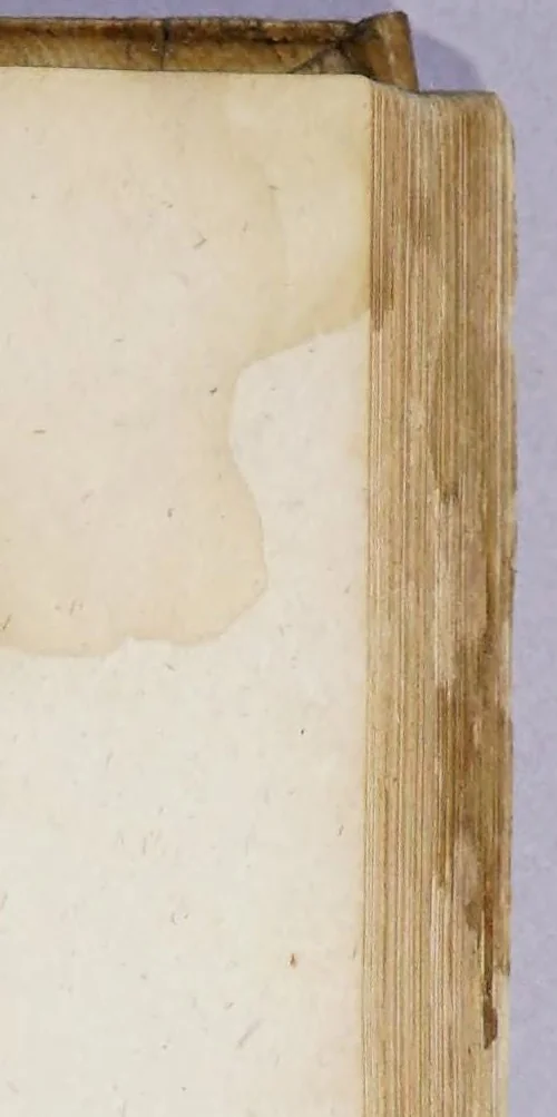 An illustration from M. Tullius Cicero Mannucciorum commentariis illustratus antiquaeq. lectioni restitutus, 1583, leaf 311