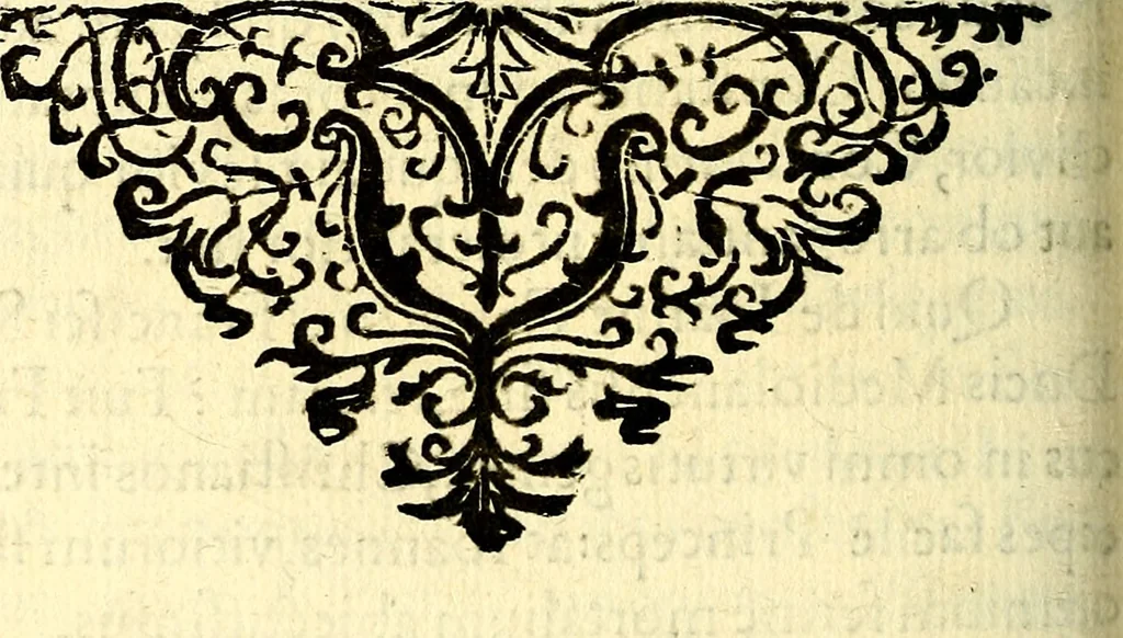 An illustration from Mundi lapis lydius, siue, Vanitas per veritat falsi accusata & conuicta, 1639, leaf 159