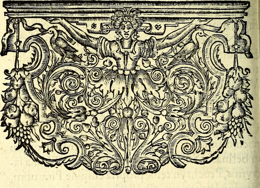 An illustration from Mundi lapis lydius, siue, Vanitas per veritat falsi accusata & conuicta, 1639, leaf 169