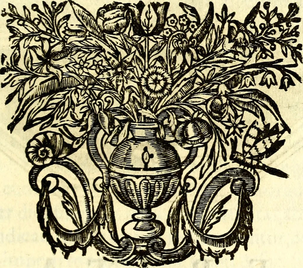 An illustration from Mundi lapis lydius, siue, Vanitas per veritat falsi accusata & conuicta, 1639, leaf 232