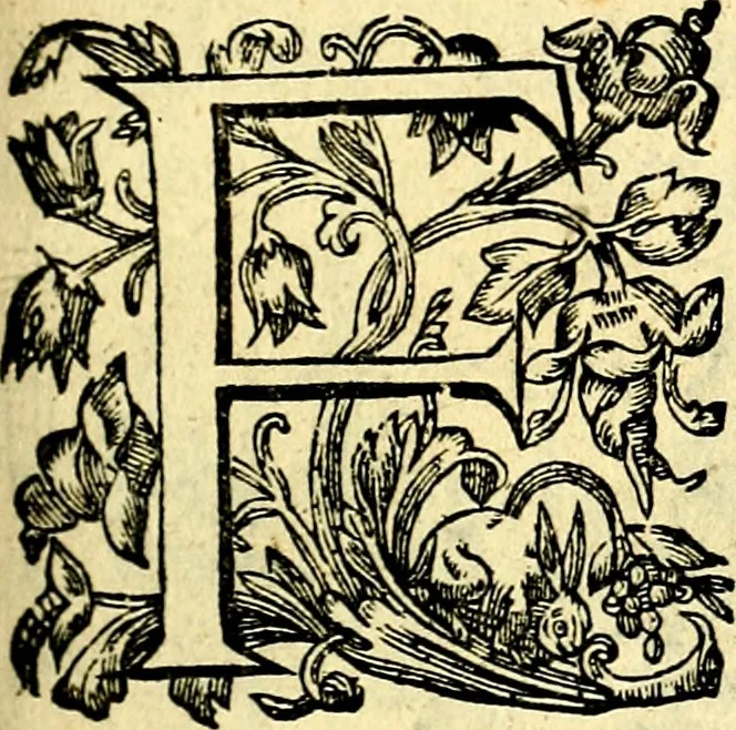 An illustration from Mundi lapis lydius, siue, Vanitas per veritat falsi accusata & conuicta, 1639, leaf 8