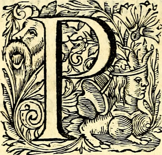 An illustration from Mundi lapis lydius, siue, Vanitas per veritat falsi accusata & conuicta, 1639, leaf 13