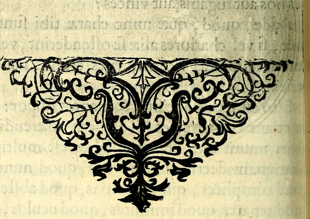 An illustration from Mundi lapis lydius, siue, Vanitas per veritat falsi accusata & conuicta, 1639, leaf 153