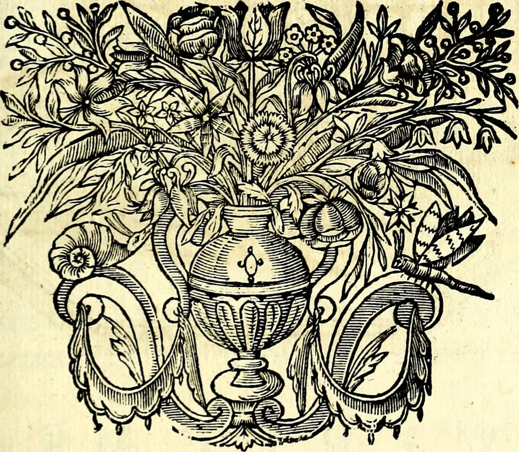An illustration from Mundi lapis lydius, siue, Vanitas per veritat falsi accusata & conuicta, 1639, leaf 158