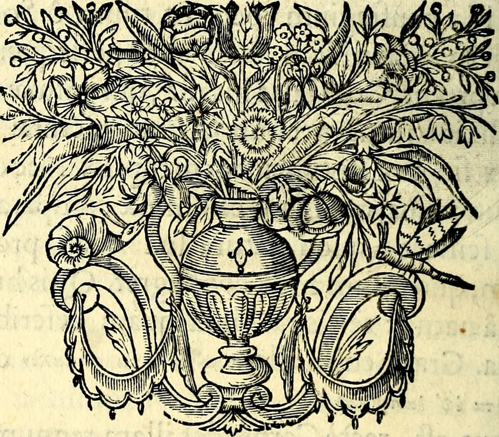 An illustration from Mundi lapis lydius, siue, Vanitas per veritat falsi accusata & conuicta, 1639, leaf 205