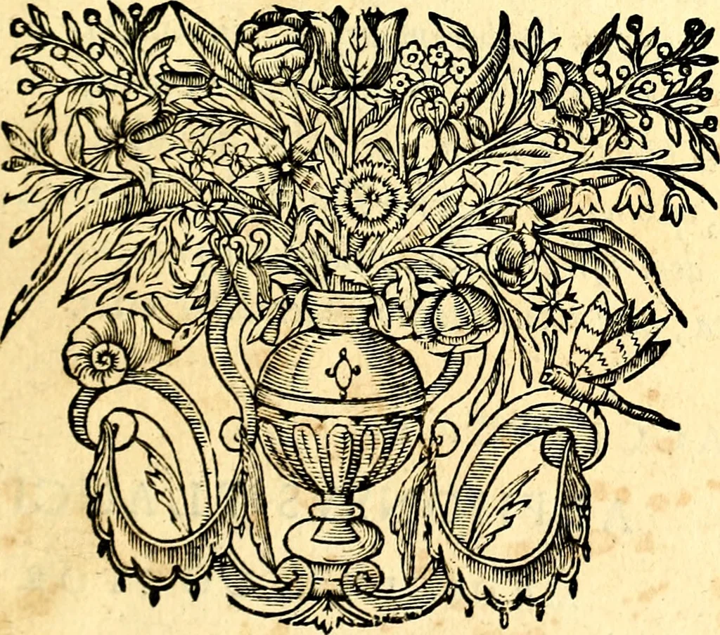An illustration from Mundi lapis lydius, siue, Vanitas per veritat falsi accusata & conuicta, 1639, leaf 28