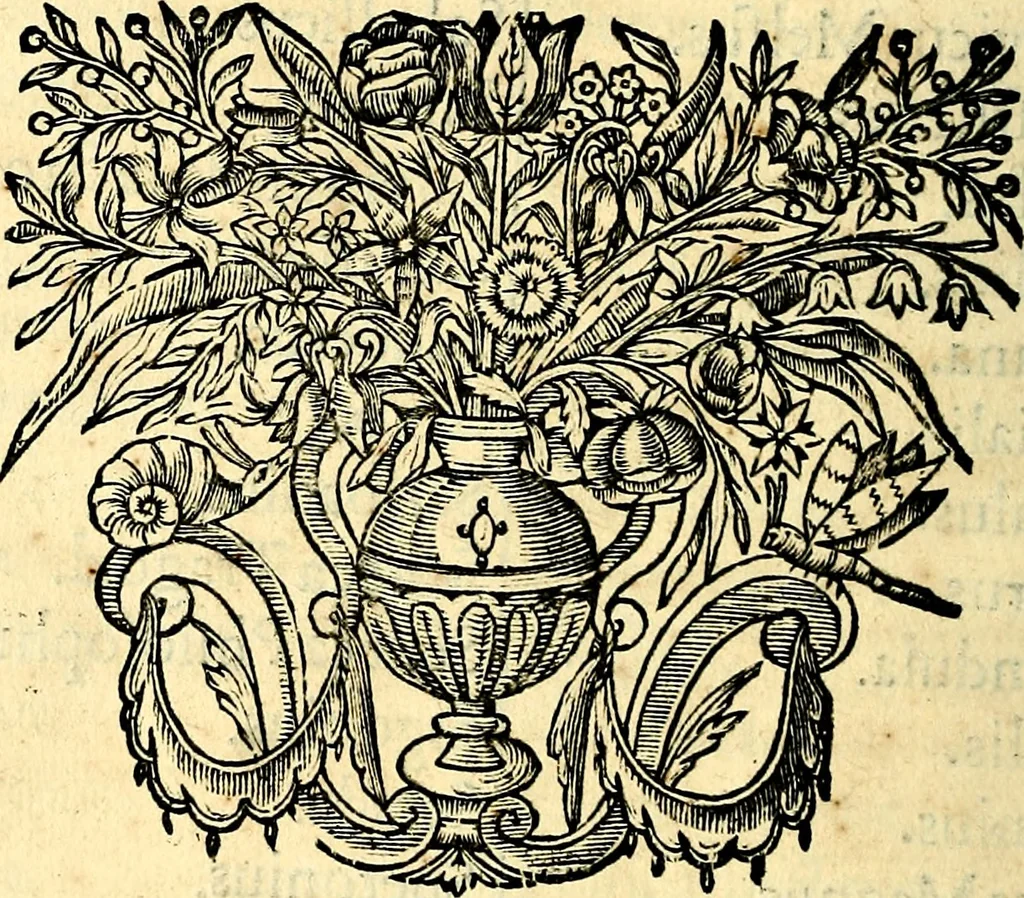 An illustration from Mundi lapis lydius, siue, Vanitas per veritat falsi accusata & conuicta, 1639, leaf 295