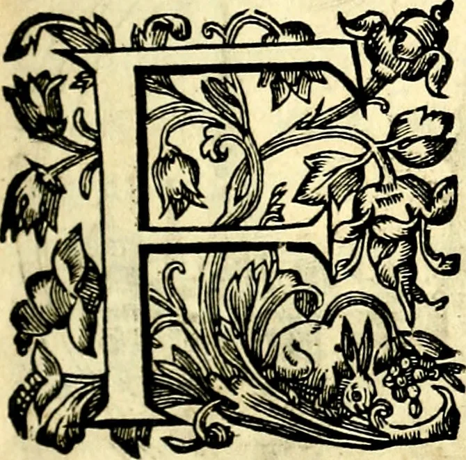 An illustration from Mundi lapis lydius, siue, Vanitas per veritat falsi accusata & conuicta, 1639, leaf 32