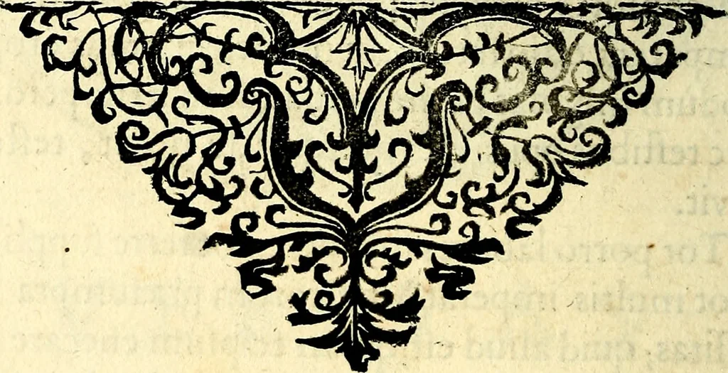 An illustration from Mundi lapis lydius, siue, Vanitas per veritat falsi accusata & conuicta, 1639, leaf 47