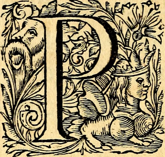 An illustration from Mundi lapis lydius, siue, Vanitas per veritat falsi accusata & conuicta, 1639, leaf 15