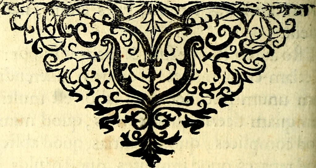 An illustration from Mundi lapis lydius, siue, Vanitas per veritat falsi accusata & conuicta, 1639, leaf 155