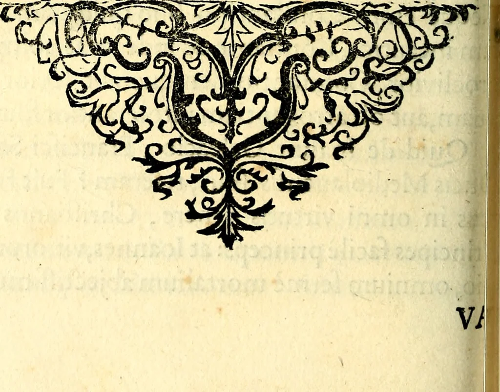 An illustration from Mundi lapis lydius, siue, Vanitas per veritat falsi accusata & conuicta, 1639, leaf 185