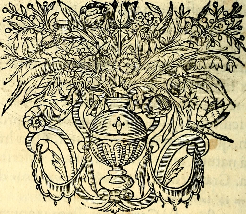 An illustration from Mundi lapis lydius, siue, Vanitas per veritat falsi accusata & conuicta, 1639, leaf 207
