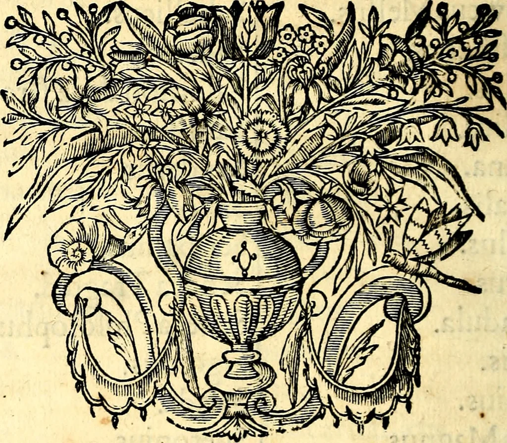 An illustration from Mundi lapis lydius, siue, Vanitas per veritat falsi accusata & conuicta, 1639, leaf 297