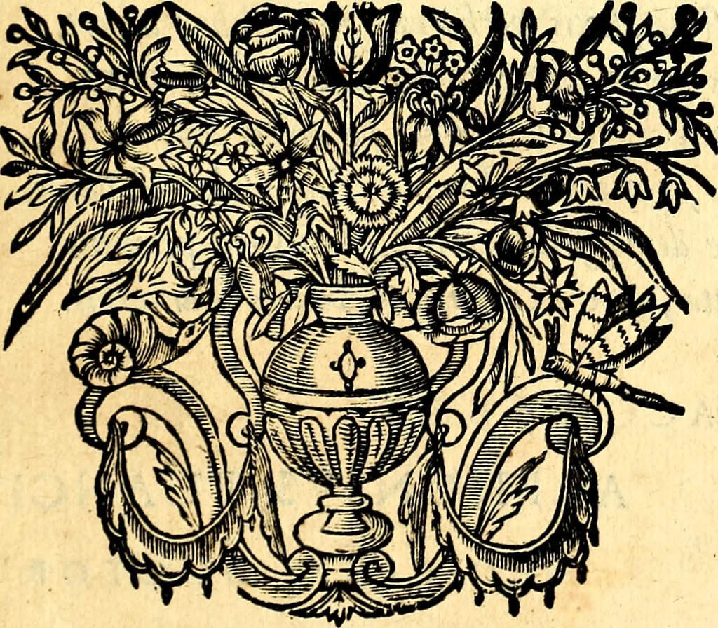 An illustration from Mundi lapis lydius, siue, Vanitas per veritat falsi accusata & conuicta, 1639, leaf 30