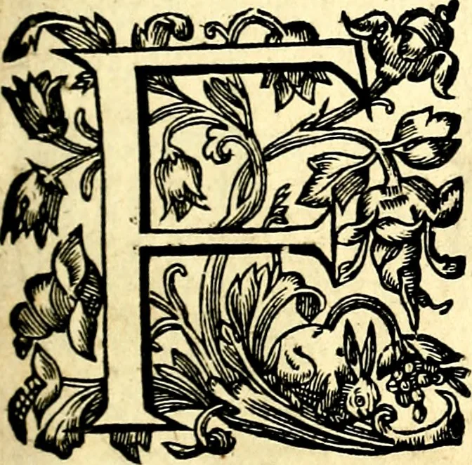 An illustration from Mundi lapis lydius, siue, Vanitas per veritat falsi accusata & conuicta, 1639, leaf 34