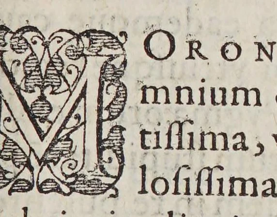 An illustration from Mundus alter et idem siue Terra Australis ante hac semper incognita longis itineribus Peregrini Academici nuperrime lustrata, 1607, leaf 145
