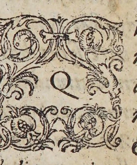 An illustration from Mundus alter et idem siue Terra Australis ante hac semper incognita longis itineribus Peregrini Academici nuperrime lustrata, 1607, leaf 23