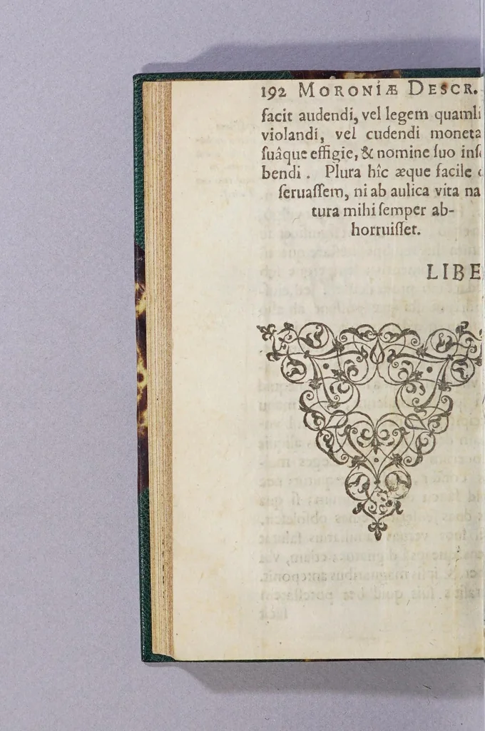 An illustration from Mundus alter et idem siue Terra Australis ante hac semper incognita longis itineribus peregrini Academici nuperrime lustrata, 1605, leaf 222