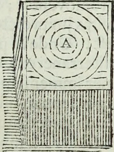 An illustration from Mundus Subterraneus, in XII libros digestus; quo divinum subterrestris mundi opificium, mira ergasteriorum naturæ in eo distributio, verbo pantámorphou Protei regnum, universæ denique naturæ majestas, 1665, leaf 207