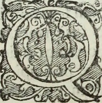 An illustration from Mundus Subterraneus, in XII libros digestus; quo divinum subterrestris mundi opificium, mira ergasteriorum naturæ in eo distributio, verbo pantámorphou Protei regnum, universæ denique naturæ majestas, 1665, leaf 231