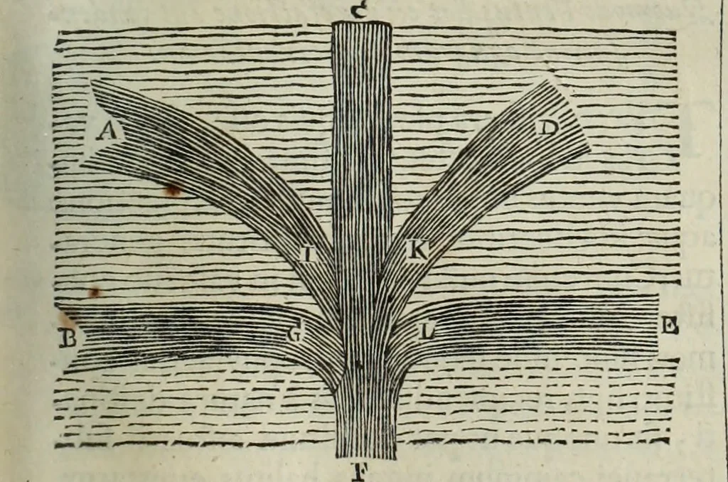 An illustration from Mundus Subterraneus, in XII libros digestus; quo divinum subterrestris mundi opificium, mira ergasteriorum naturæ in eo distributio, verbo pantámorphou Protei regnum, universæ denique naturæ majestas, 1665, leaf 270