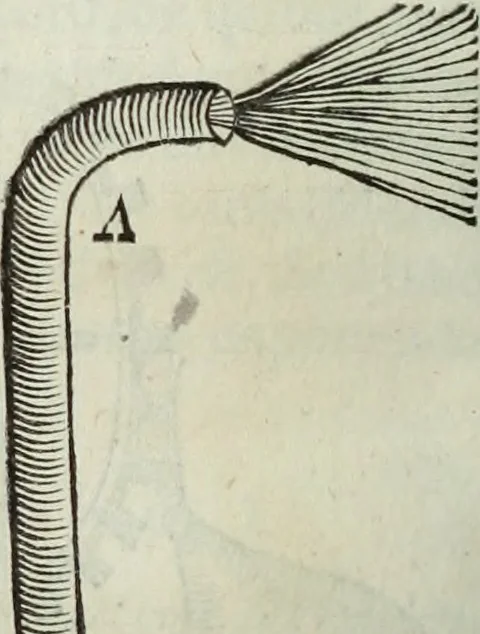 An illustration from Mundus Subterraneus, in XII libros digestus; quo divinum subterrestris mundi opificium, mira ergasteriorum naturæ in eo distributio, verbo pantámorphou Protei regnum, universæ denique naturæ majestas, 1665, leaf 273