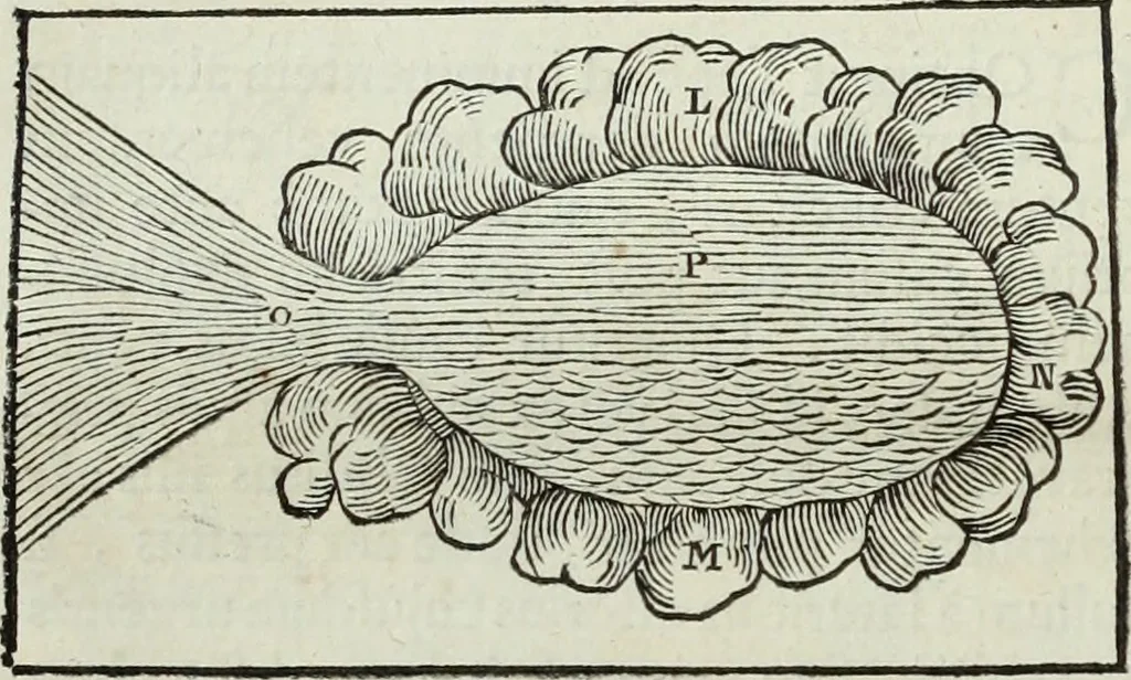 An illustration from Mundus Subterraneus, in XII libros digestus; quo divinum subterrestris mundi opificium, mira ergasteriorum naturæ in eo distributio, verbo pantámorphou Protei regnum, universæ denique naturæ majestas, 1665, leaf 277