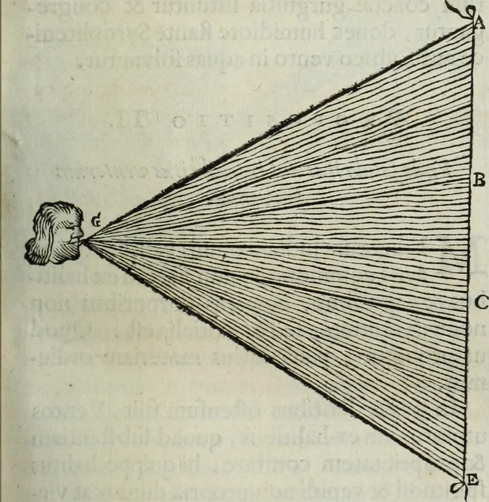 An illustration from Mundus Subterraneus, in XII libros digestus; quo divinum subterrestris mundi opificium, mira ergasteriorum naturæ in eo distributio, verbo pantámorphou Protei regnum, universæ denique naturæ majestas, 1665, leaf 282