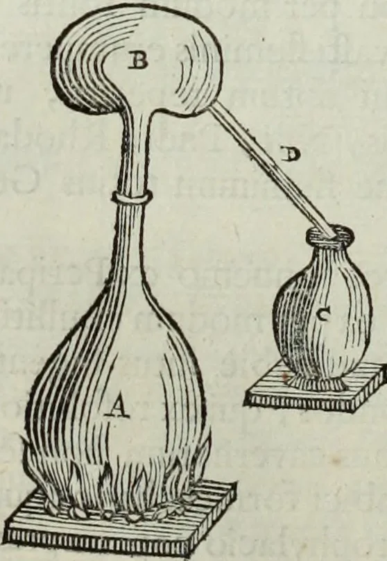 An illustration from Mundus Subterraneus, in XII libros digestus; quo divinum subterrestris mundi opificium, mira ergasteriorum naturæ in eo distributio, verbo pantámorphou Protei regnum, universæ denique naturæ majestas, 1665, leaf 297