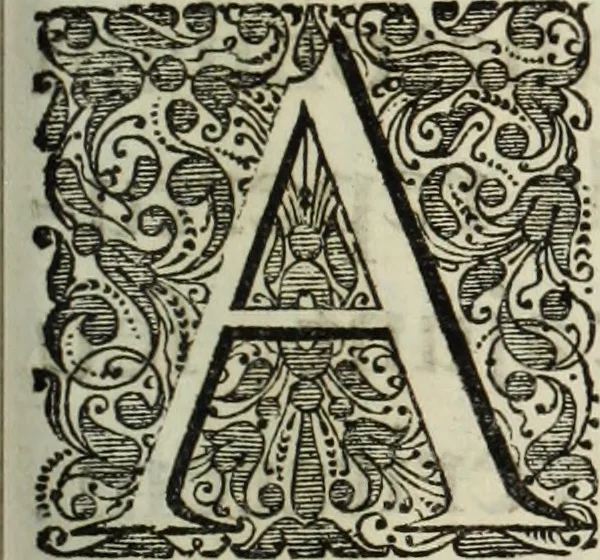 An illustration from Mundus Subterraneus, in XII libros digestus; quo divinum subterrestris mundi opificium, mira ergasteriorum naturæ in eo distributio, verbo pantámorphou Protei regnum, universæ denique naturæ majestas, 1665, leaf 424