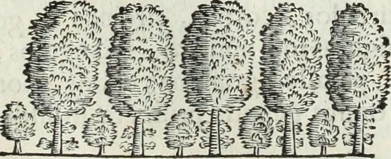 An illustration from Mundus Subterraneus, in XII libros digestus; quo divinum subterrestris mundi opificium, mira ergasteriorum naturæ in eo distributio, verbo pantámorphou Protei regnum, universæ denique naturæ majestas, 1665, leaf 461