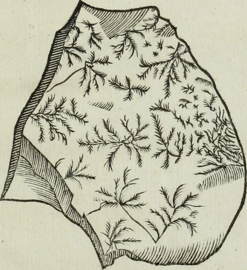 An illustration from Mundus Subterraneus, in XII libros digestus; quo divinum subterrestris mundi opificium, mira ergasteriorum naturæ in eo distributio, verbo pantámorphou Protei regnum, universæ denique naturæ majestas, 1665, leaf 464