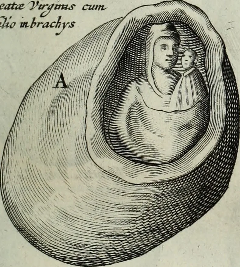 An illustration from Mundus Subterraneus, in XII libros digestus; quo divinum subterrestris mundi opificium, mira ergasteriorum naturæ in eo distributio, verbo pantámorphou Protei regnum, universæ denique naturæ majestas, 1665, leaf 466