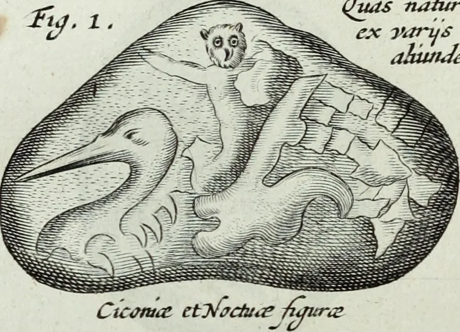 An illustration from Mundus Subterraneus, in XII libros digestus; quo divinum subterrestris mundi opificium, mira ergasteriorum naturæ in eo distributio, verbo pantámorphou Protei regnum, universæ denique naturæ majestas, 1665, leaf 467