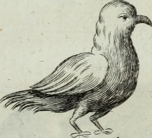 An illustration from Mundus Subterraneus, in XII libros digestus; quo divinum subterrestris mundi opificium, mira ergasteriorum naturæ in eo distributio, verbo pantámorphou Protei regnum, universæ denique naturæ majestas, 1665, leaf 467