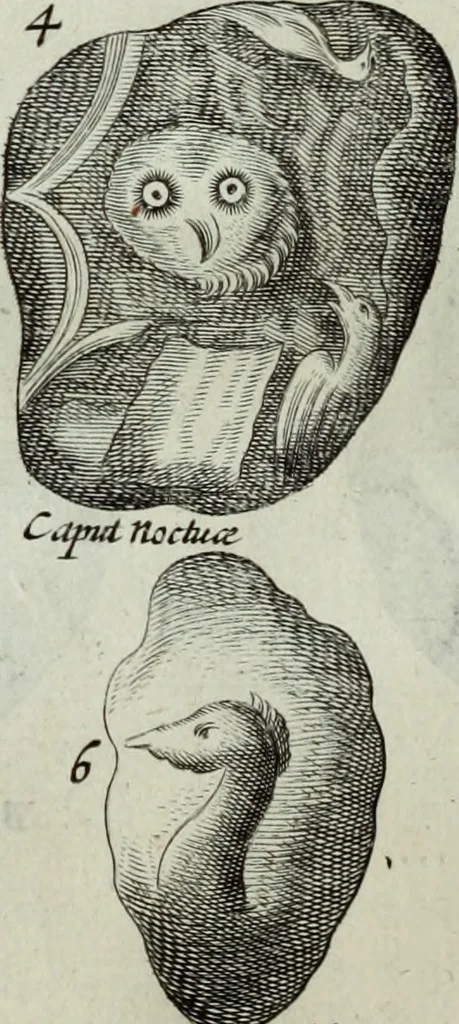 An illustration from Mundus Subterraneus, in XII libros digestus; quo divinum subterrestris mundi opificium, mira ergasteriorum naturæ in eo distributio, verbo pantámorphou Protei regnum, universæ denique naturæ majestas, 1665, leaf 467