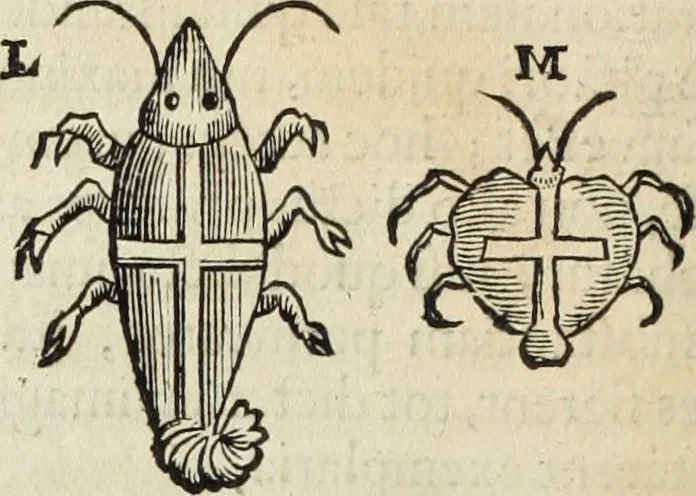 An illustration from Mundus Subterraneus, in XII libros digestus; quo divinum subterrestris mundi opificium, mira ergasteriorum naturæ in eo distributio, verbo pantámorphou Protei regnum, universæ denique naturæ majestas, 1665, leaf 479